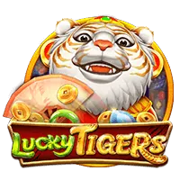 Dream Gaming Live Casino TG777