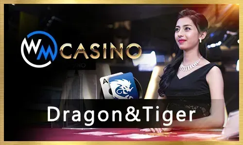 TG777 Bingo Community Play